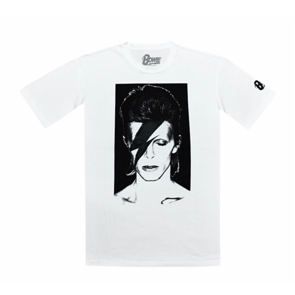 DAVID BOWIE Aladdin Sane Album Cover